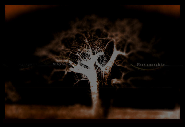 Photographie sibyllin